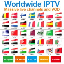 Promotional Price for One Year Worldwide IPTV Nederland Sweden Norway Denmark Finland EXYU Albania IPTV Channels etc Global IPTV in More than 75 Countries