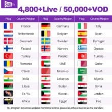 French IPTV SUBTV Code 12 mois 3 lines Support Android Apk Smart tv Iptv Code M3u Leadcool box